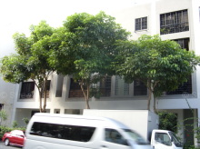 Rangoon Apartments #1161202